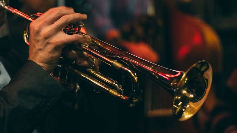 Türk müziği festivali 500 bin kişi topladı
